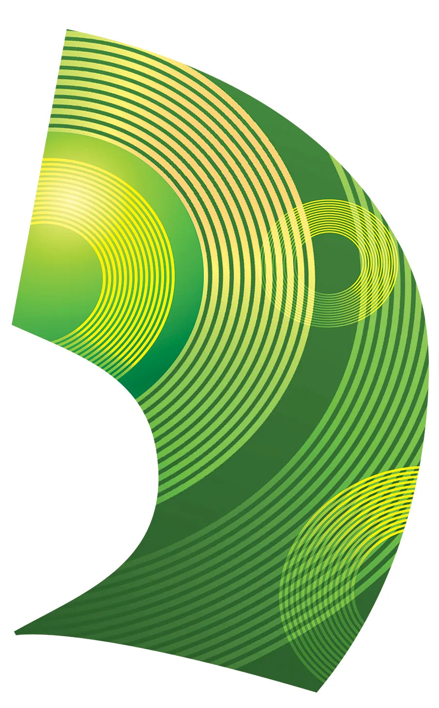 PP-2663-SS