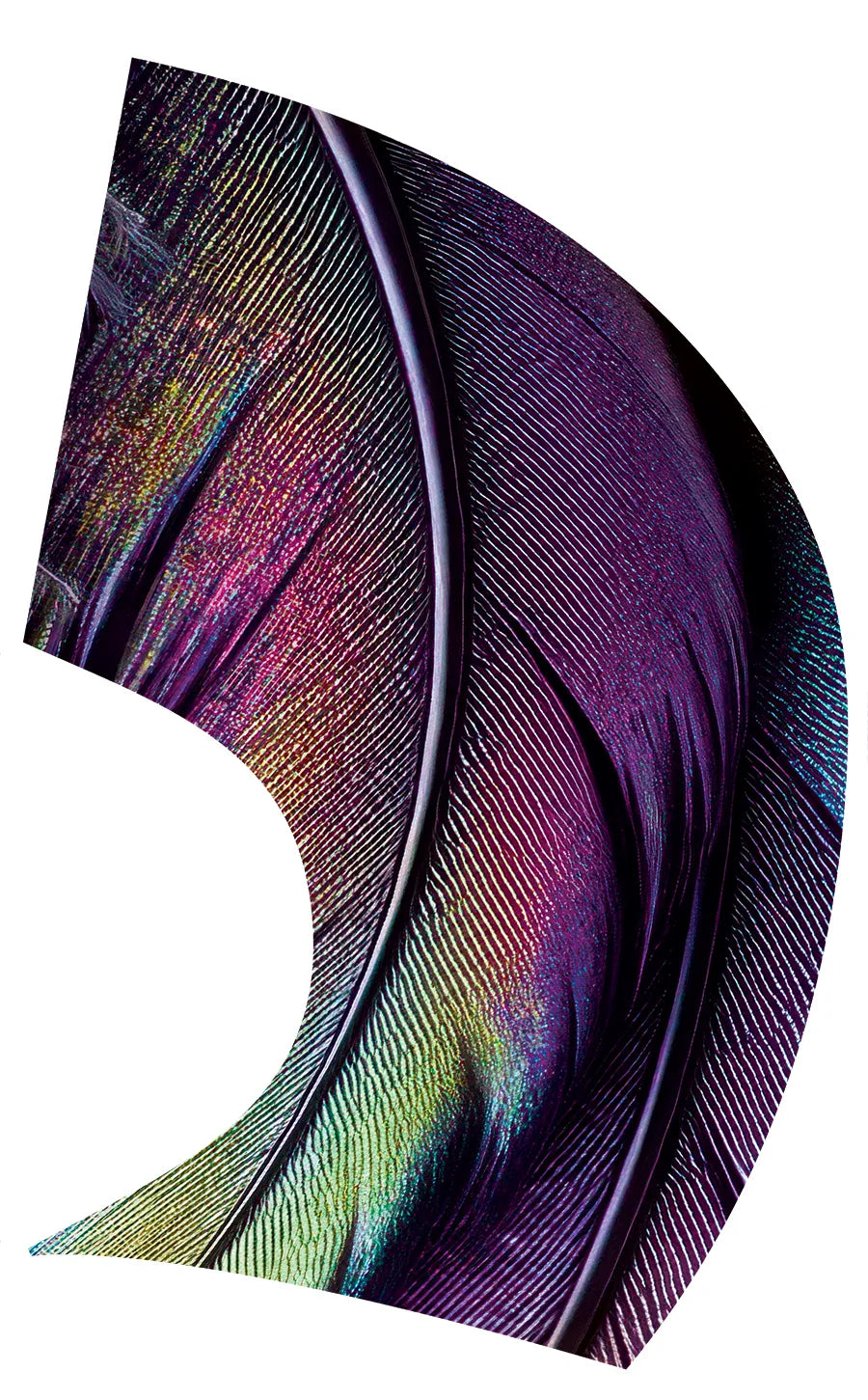 PP-2747-SS