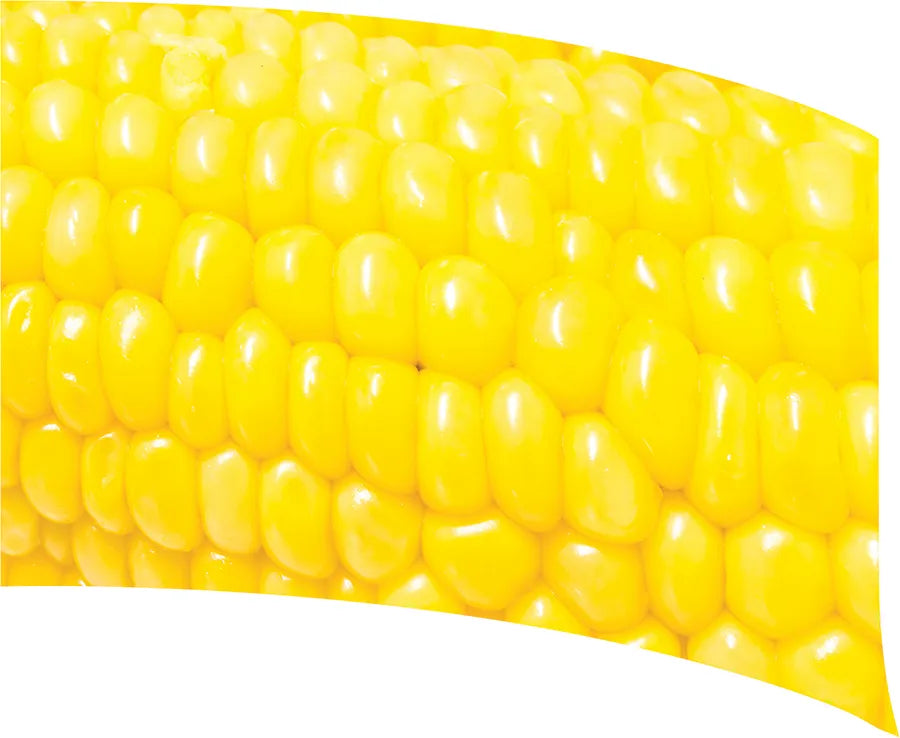 TES017