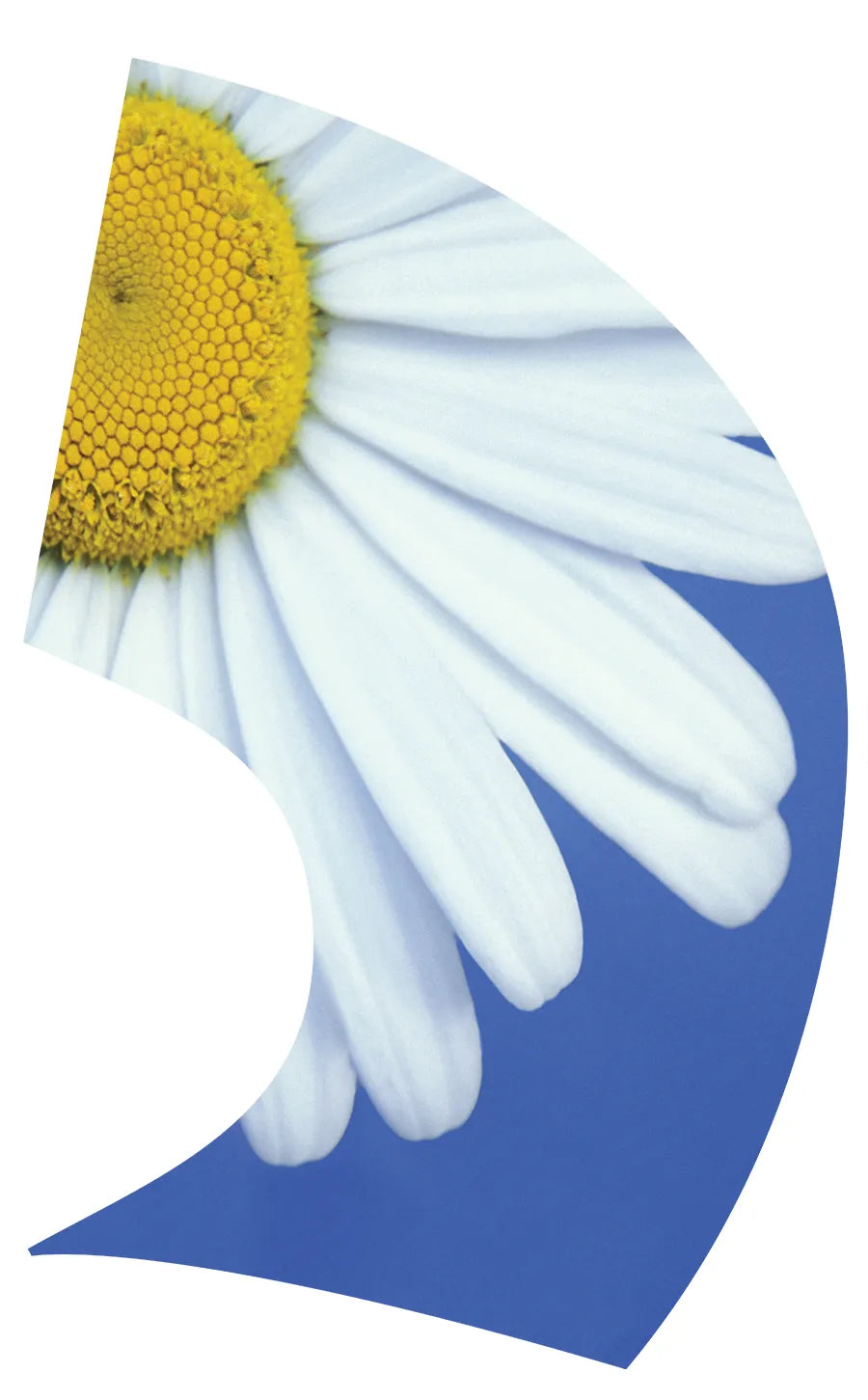 TES024